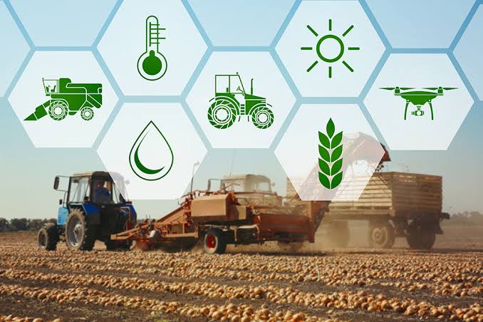 Wonder Earning Farm